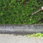 造園施工管理技士の仕事内容と将来性は？資格取得のコツも詳しく紹介！