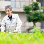 造園業が儲かる5つの理由！活躍しやすい・稼ぎやすい人のタイプも紹介