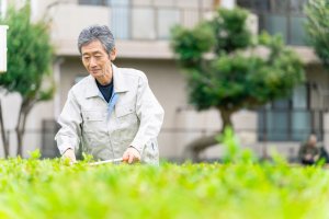 造園業が儲かる5つの理由！活躍しやすい・稼ぎやすい人のタイプも紹介